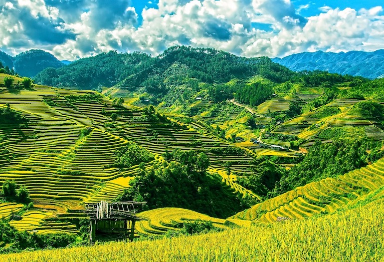 VIJETNAM: Samo 415 eura povratne karte! 2 rice terraces 164622 1280