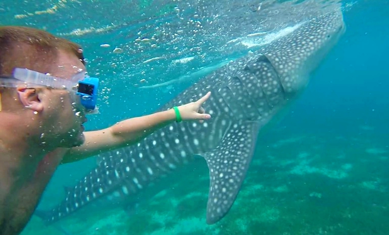 Slika zaslona 2017 11 22 u 20.26.23