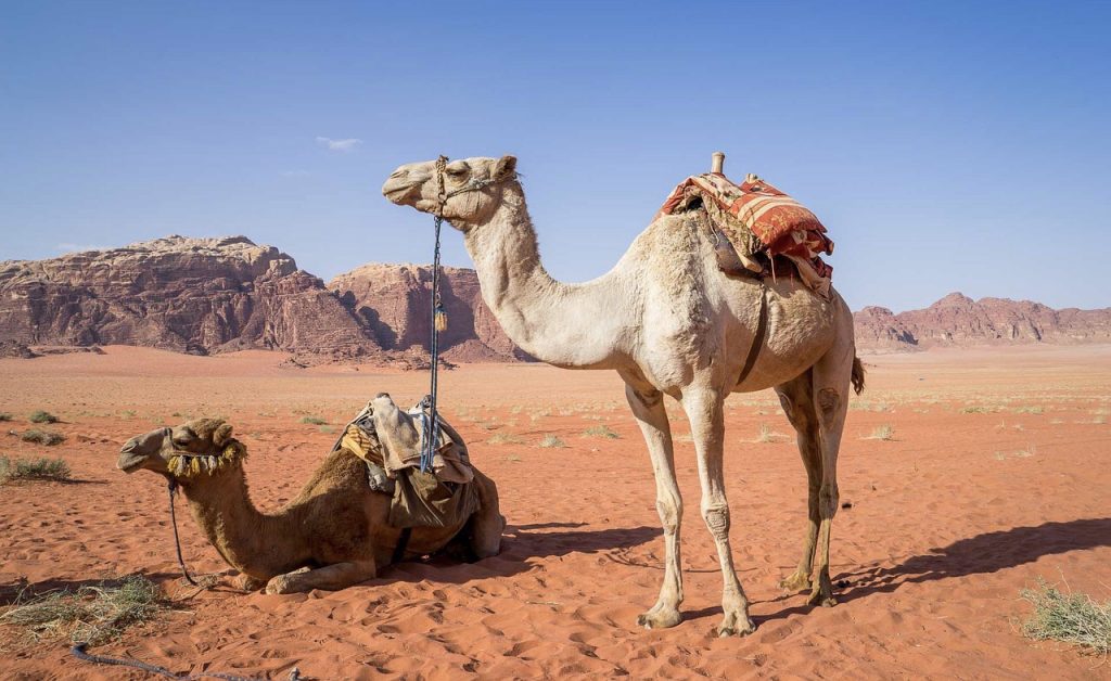 JORDAN: Samo 30 eura povratna karta! Novi termin! 2 405C60DD A6AC 4E5D A686 4128ACC4F05F