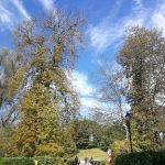 IMG 20191012 115422 1