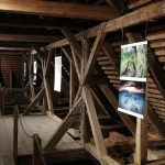 IMG 20191013 110641 1