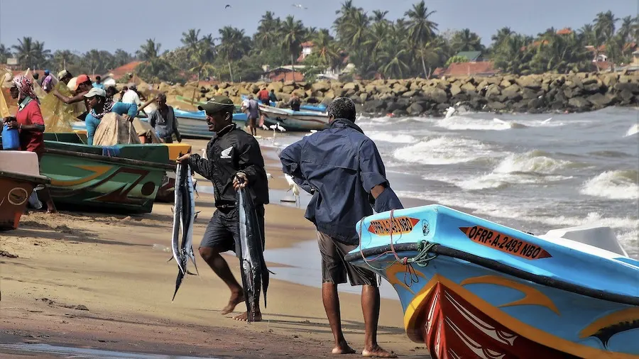 sri lanka diversity 3247257 1280