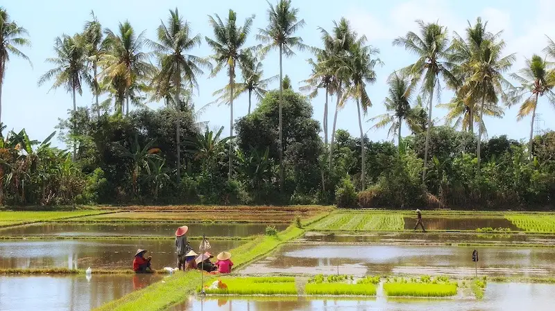 putovanje na bali 2024 aviokarte za denpasar