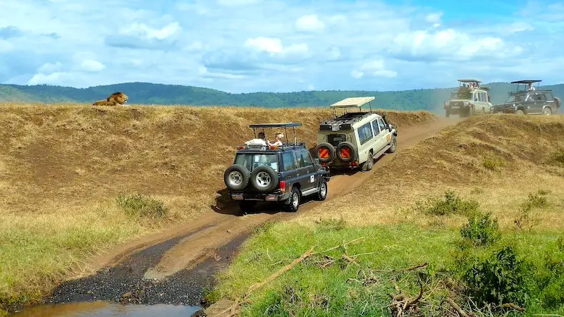 TANZANIJA: 447 eura povratne aviokarte za Dar Es Salaam! Prilike za safari, Kilimanjaro i/ili Zanzibar! 2 safari i putovanje u tanzaniju
