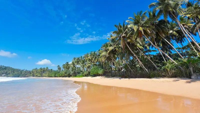 plaze na sri lanki aviokarte putovanje