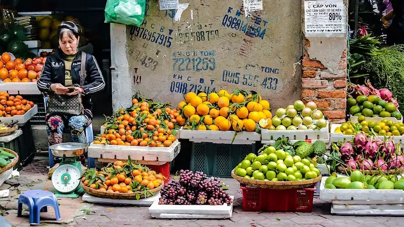 VIJETNAM: Odlične cijene termina - ljeto, jesen, zima! Iz Ljubljane! 2 vietnam vijetnam voce market 1505686 1280