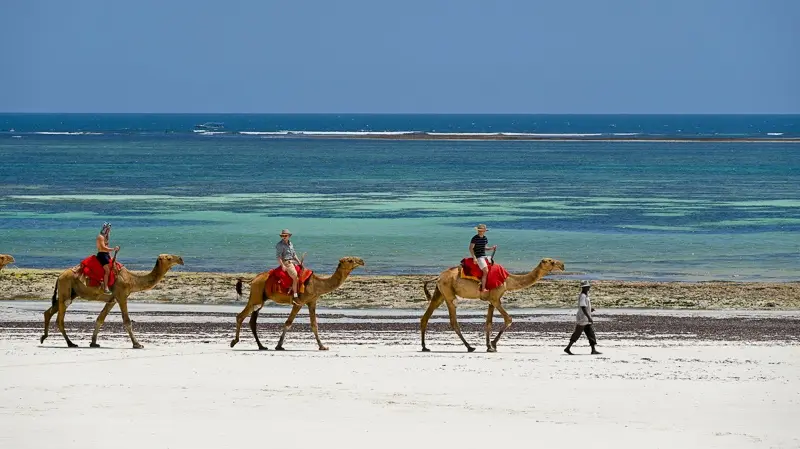 kenija aviokarte putovanje