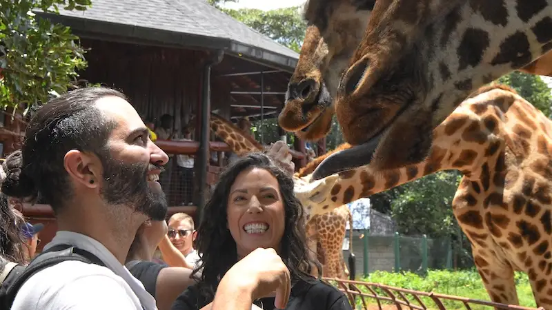 nairobi centar zirafa giraffe center keren