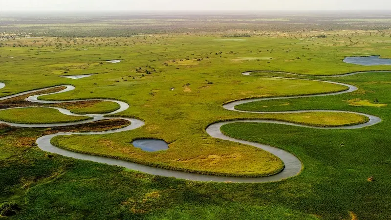 Okavango delta