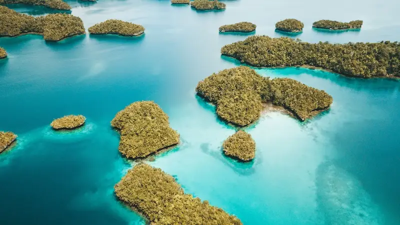 PALAU: Rijetko dobre cijene za egzotičnu destinaciju na drugom kraju svijeta! Iz Beča! 16 Putovanje - palau