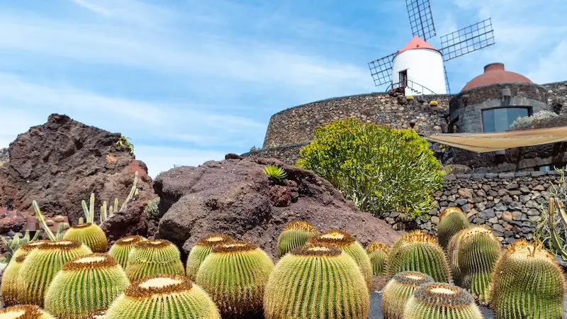 KANARI: Odlične cijene za Lanzarote iz Zagreba! Letovi bez presjedanja! 1 Lanzarote - vrt kaktusa
