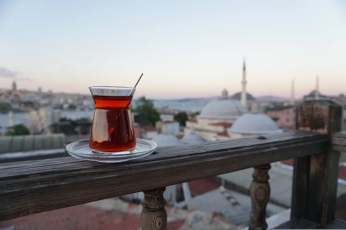 Pogled na Istanbul s čajem iznad gradskih krovova